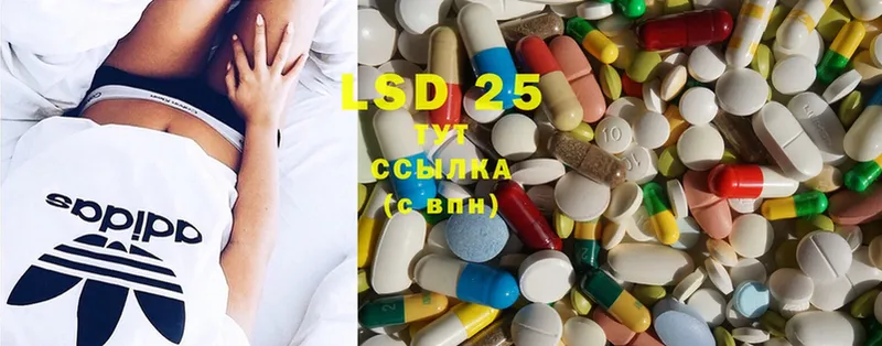 где найти наркотики  Гаврилов-Ям  LSD-25 экстази кислота 